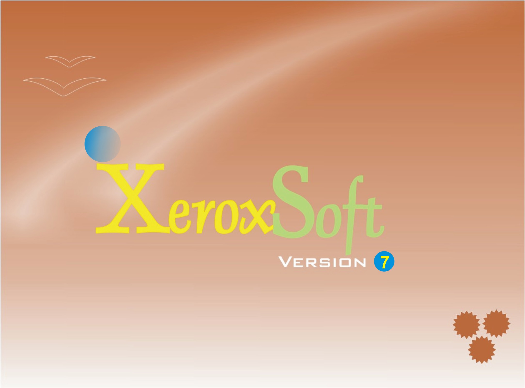 Xerox Carton Dozen Piece